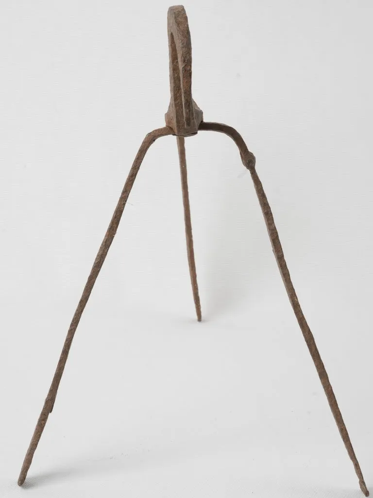 Antique European fire roasting tool