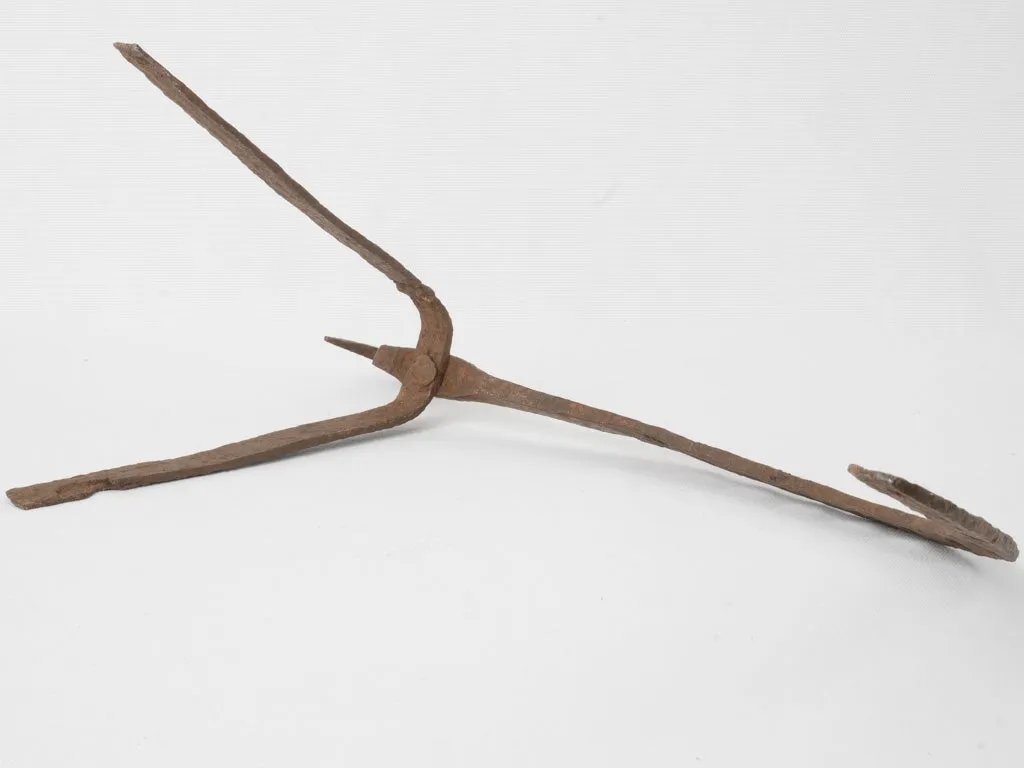Antique European fire roasting tool