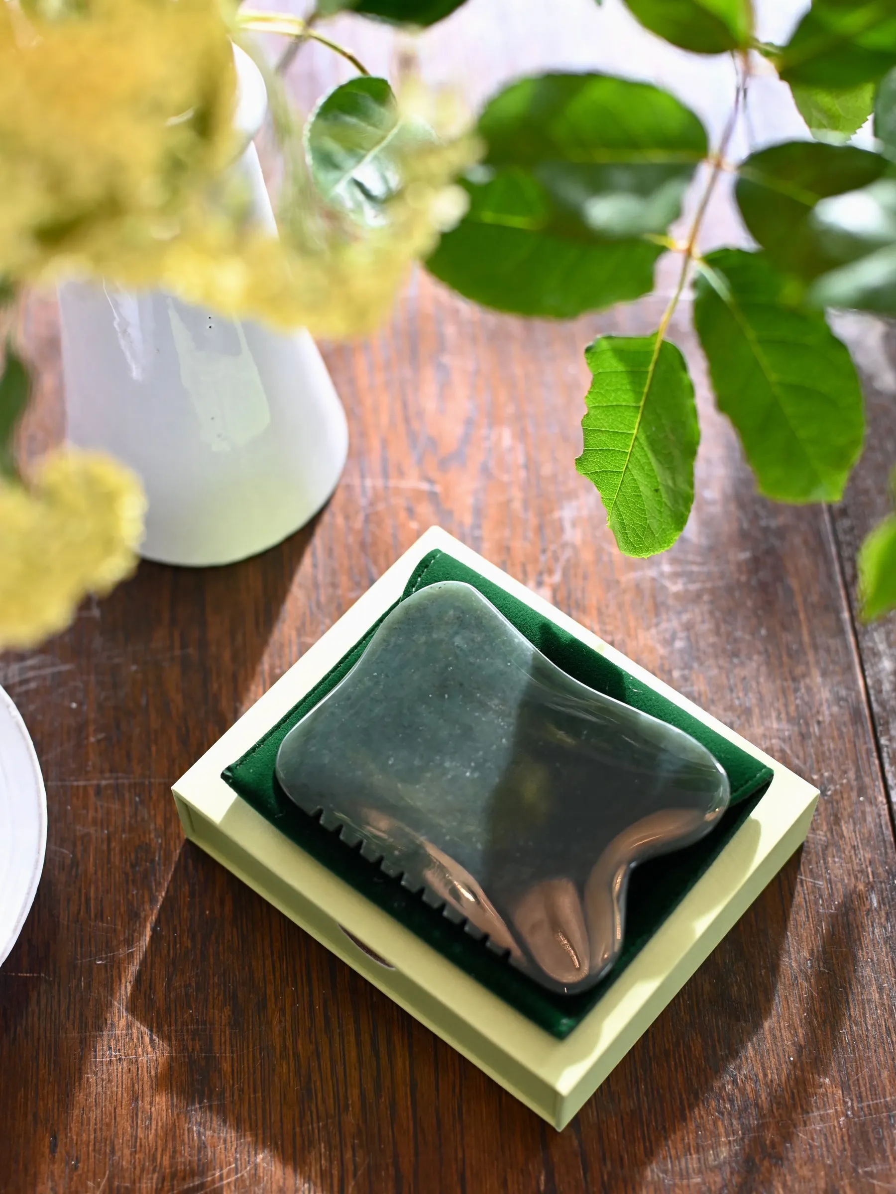 Cosmic Stone -Nephrite Jade Gua Sha Tool