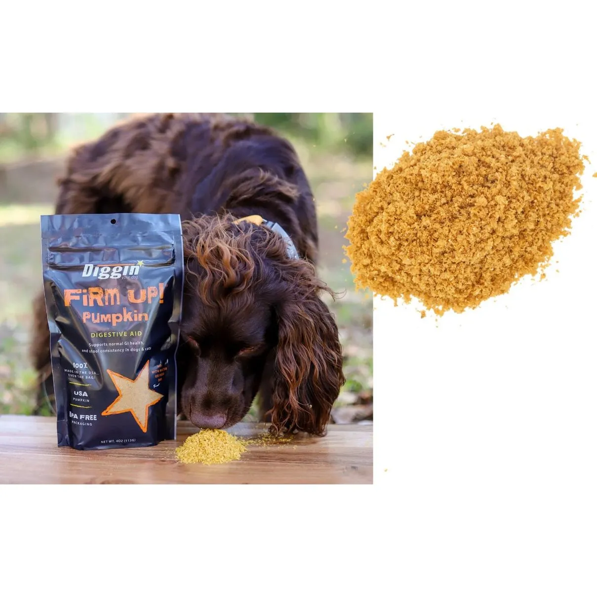 Diggin Your Dog - Firm Up! Pumpkin