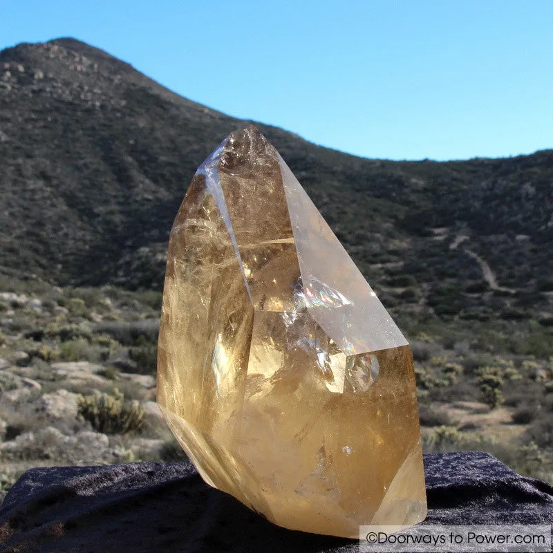 John of God Citrine Abundance Crystal Point