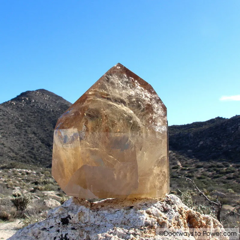 John of God Citrine Abundance Crystal Point