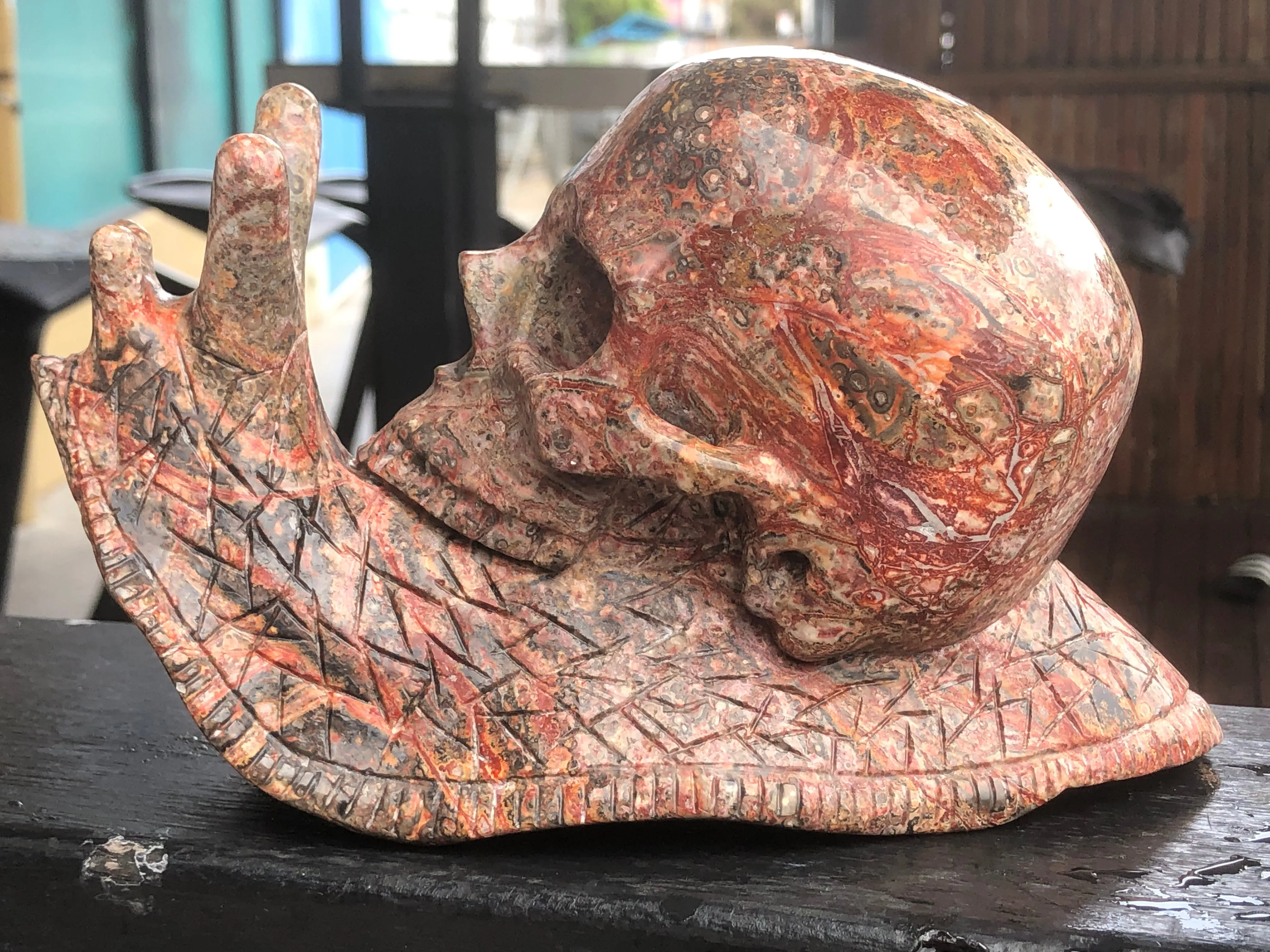 Leopard Skin Jasper Skull Snail [1k1579]