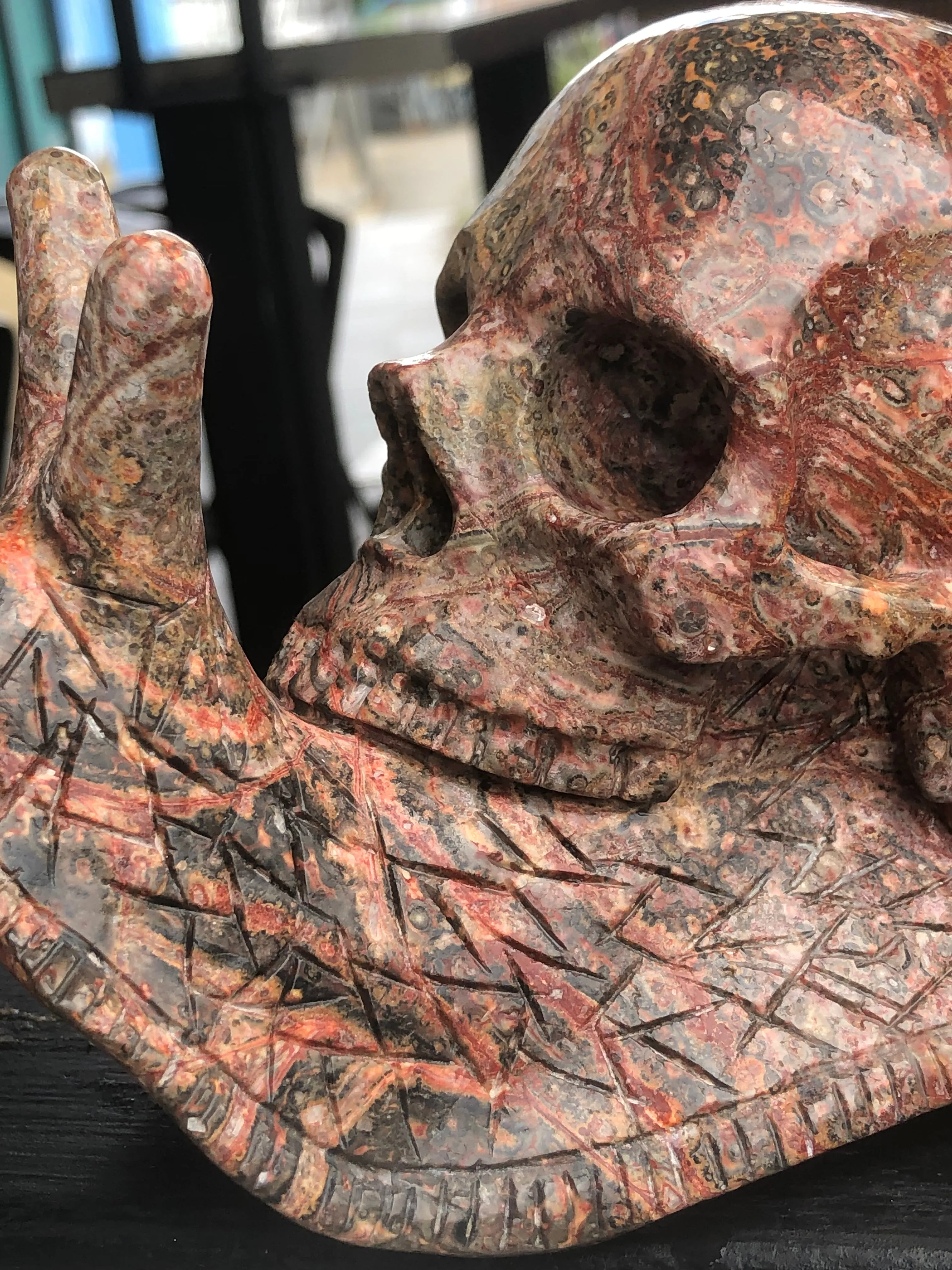 Leopard Skin Jasper Skull Snail [1k1579]