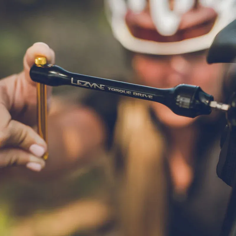 Lezyne Torque Drive Wrench Hex Torx Tool