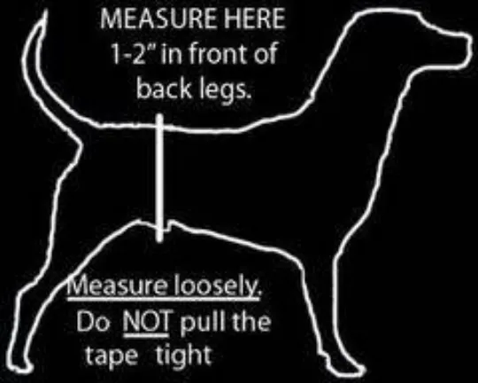 P.S. Male Dog Belly Band Wrap - Chocolate Brown Style #2