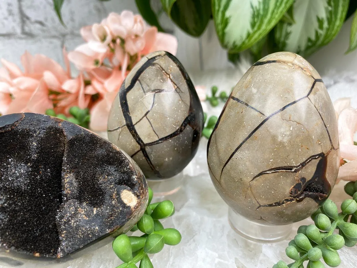 Septarian Eggs