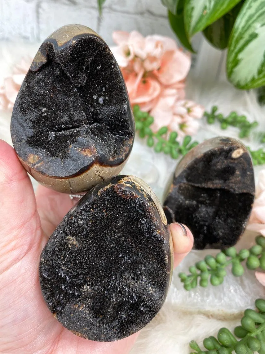Septarian Eggs