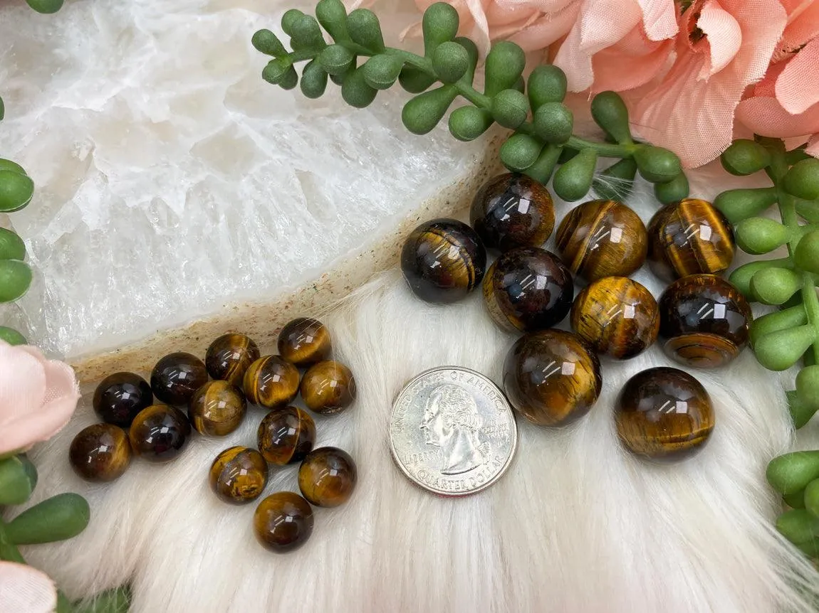 Small Tiger Eye Spheres