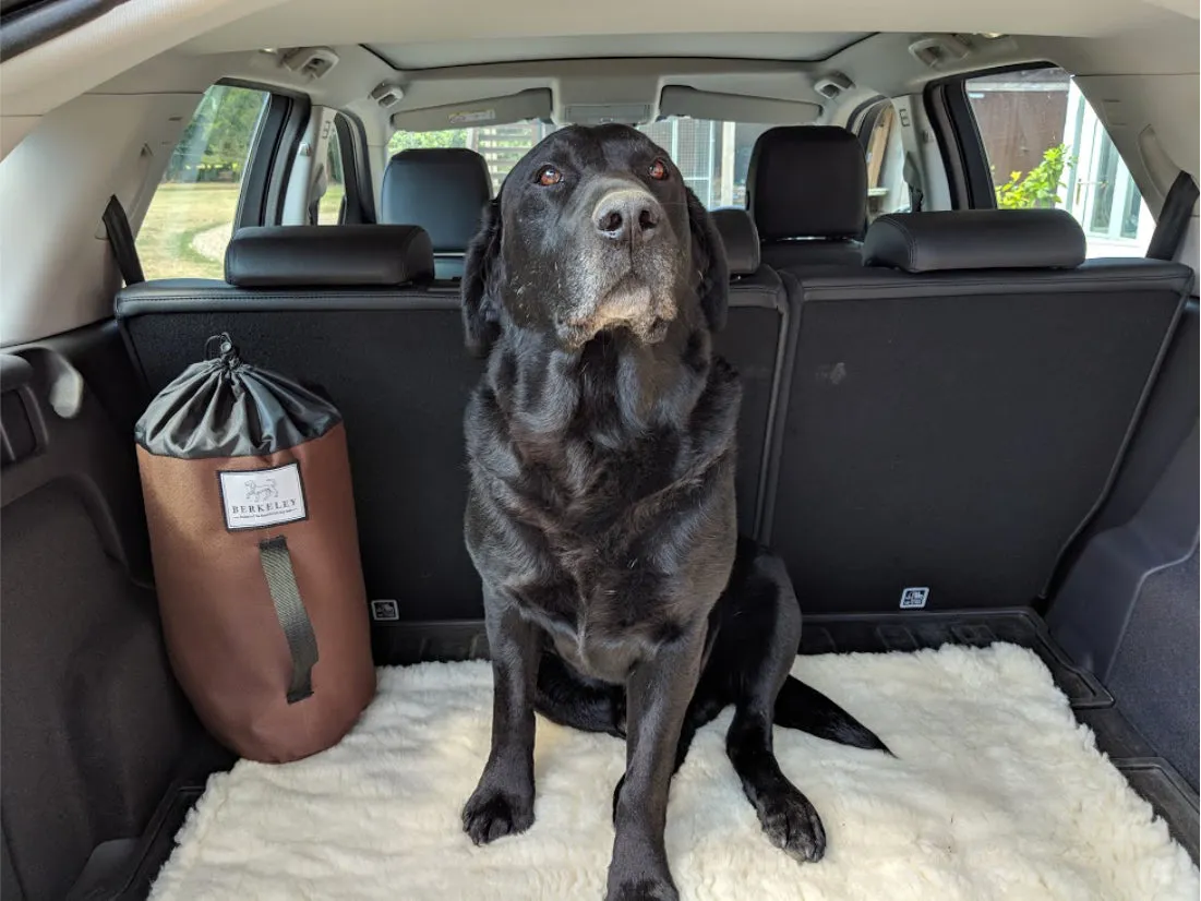 Travel Dog Beds